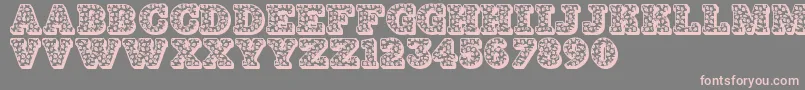 Jfhollydayz Font – Pink Fonts on Gray Background