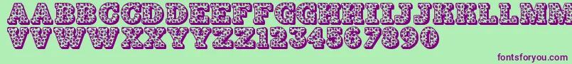 Jfhollydayz Font – Purple Fonts on Green Background