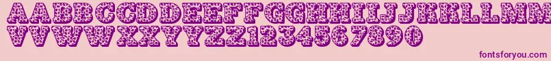 Jfhollydayz Font – Purple Fonts on Pink Background