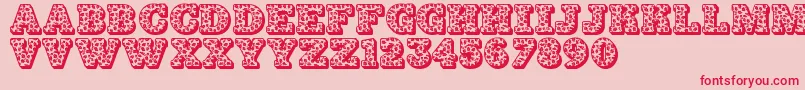 Jfhollydayz Font – Red Fonts on Pink Background