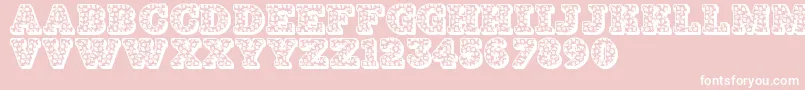 Jfhollydayz Font – White Fonts on Pink Background
