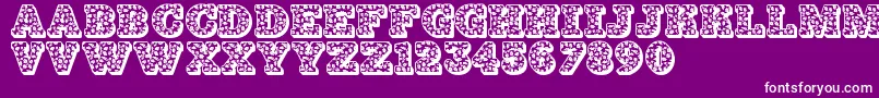 Jfhollydayz Font – White Fonts on Purple Background