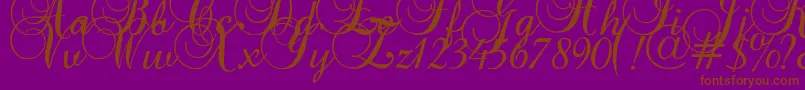 Baroqueantiquescript-fontti – ruskeat fontit violetilla taustalla