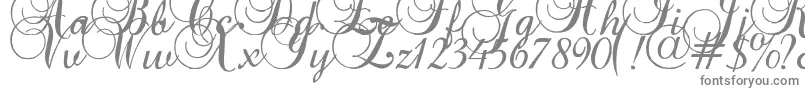 Czcionka Baroqueantiquescript – szare czcionki na białym tle