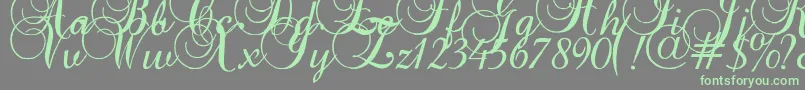 Baroqueantiquescript-Schriftart – Grüne Schriften auf grauem Hintergrund