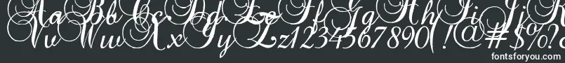 Czcionka Baroqueantiquescript – białe czcionki