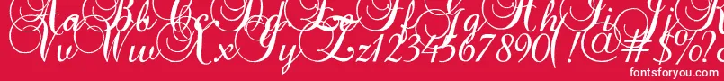 Baroqueantiquescript Font – White Fonts on Red Background