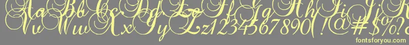 Шрифт Baroqueantiquescript – жёлтые шрифты на сером фоне