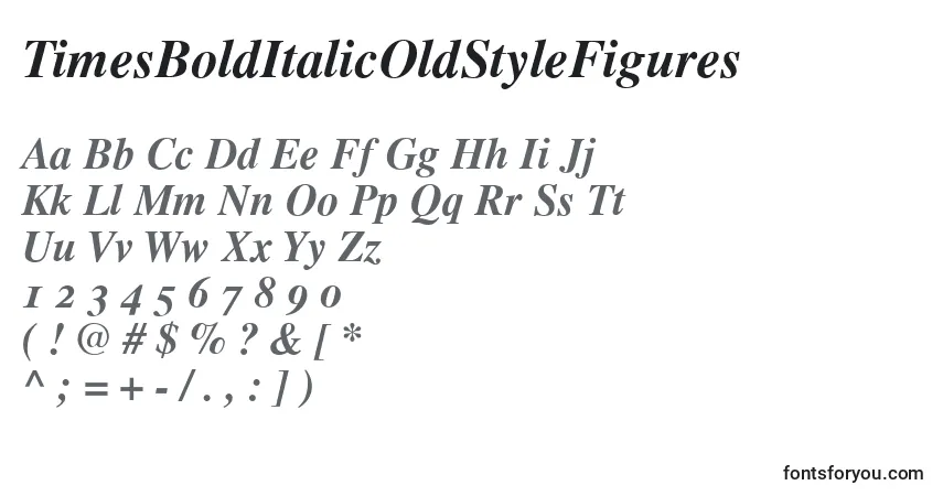 Fuente TimesBoldItalicOldStyleFigures - alfabeto, números, caracteres especiales