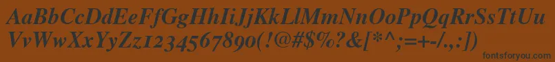 TimesBoldItalicOldStyleFigures Font – Black Fonts on Brown Background