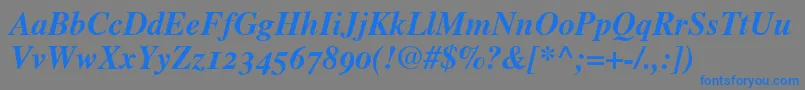 TimesBoldItalicOldStyleFigures Font – Blue Fonts on Gray Background
