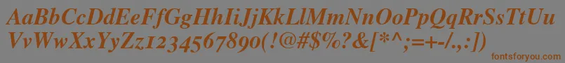 TimesBoldItalicOldStyleFigures Font – Brown Fonts on Gray Background