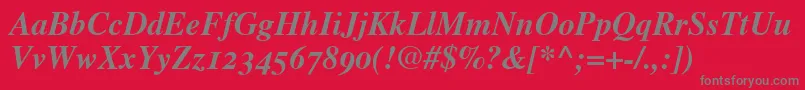 TimesBoldItalicOldStyleFigures Font – Gray Fonts on Red Background
