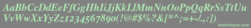 TimesBoldItalicOldStyleFigures Font – Green Fonts on Gray Background