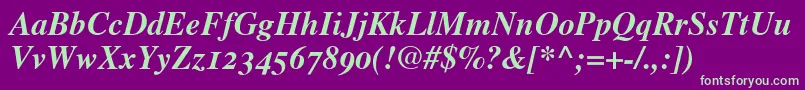 TimesBoldItalicOldStyleFigures Font – Green Fonts on Purple Background