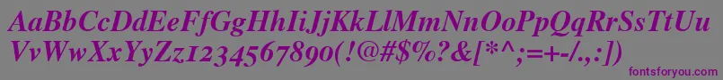 TimesBoldItalicOldStyleFigures-fontti – violetit fontit harmaalla taustalla