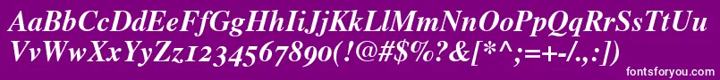 TimesBoldItalicOldStyleFigures-fontti – valkoiset fontit violetilla taustalla