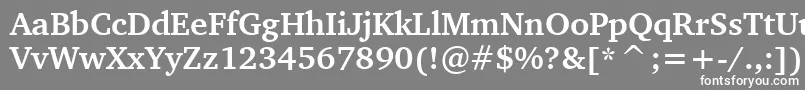 フォントCharterBoldBt – 灰色の背景に白い文字