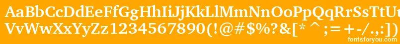 CharterBoldBt Font – White Fonts on Orange Background