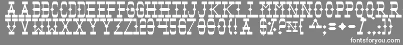 フォントTomb – 灰色の背景に白い文字