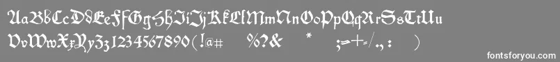 Kleinschwabach Font – White Fonts on Gray Background