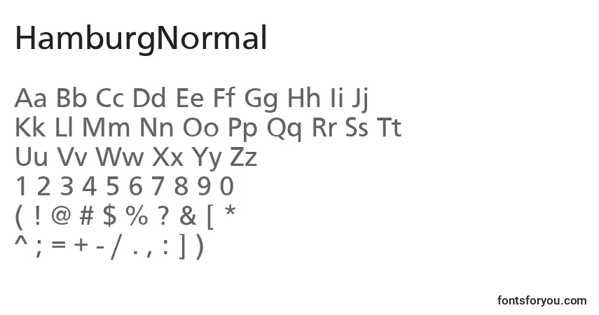 Czcionka HamburgNormal – alfabet, cyfry, specjalne znaki
