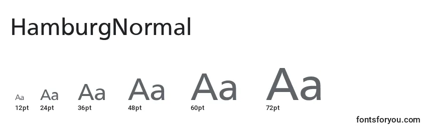 HamburgNormal Font Sizes
