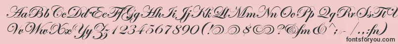 EdwardianScrAltItcTtBold Font – Black Fonts on Pink Background