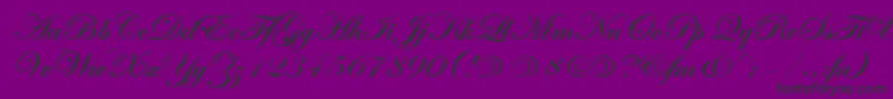 EdwardianScrAltItcTtBold Font – Black Fonts on Purple Background