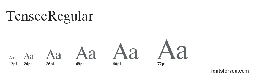 TensecRegular Font Sizes
