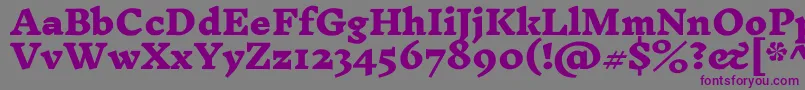 InknutantiquaBlack Font – Purple Fonts on Gray Background