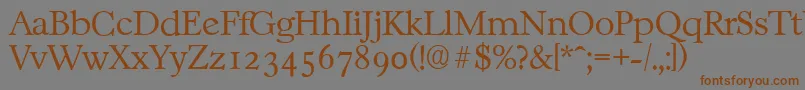 CasablancaserialXlightRegular Font – Brown Fonts on Gray Background