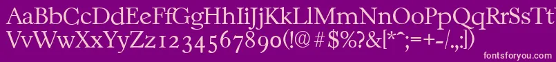 CasablancaserialXlightRegular Font – Pink Fonts on Purple Background