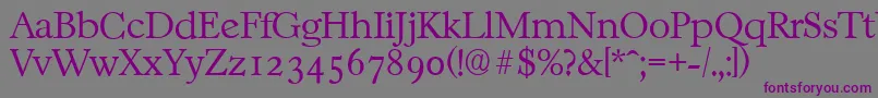 CasablancaserialXlightRegular Font – Purple Fonts on Gray Background