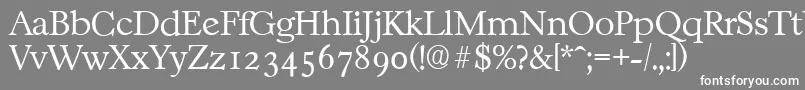 CasablancaserialXlightRegular Font – White Fonts on Gray Background