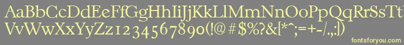 CasablancaserialXlightRegular Font – Yellow Fonts on Gray Background