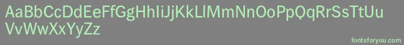 Wendelinreduced65kraeftig Font – Green Fonts on Gray Background