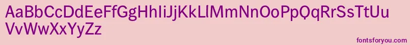 Wendelinreduced65kraeftig-Schriftart – Violette Schriften auf rosa Hintergrund