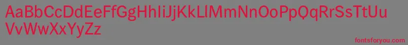 Wendelinreduced65kraeftig Font – Red Fonts on Gray Background