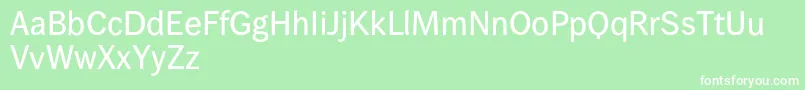 Wendelinreduced65kraeftig Font – White Fonts on Green Background