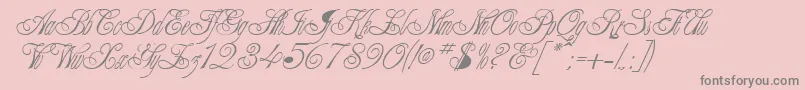 More about ClaudiaRegular Font ClaudiaRegular Font – Gray Fonts on Pink Background