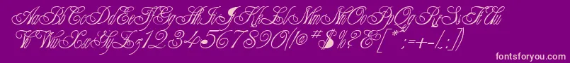 ClaudiaRegular Font – Pink Fonts on Purple Background