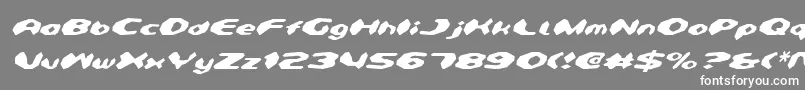 DetonatorItalic Font – White Fonts on Gray Background