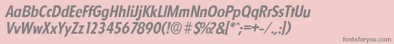 FloridaserialBolditalic Font – Gray Fonts on Pink Background