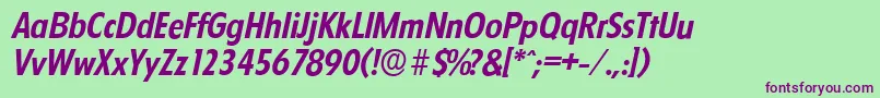 FloridaserialBolditalic Font – Purple Fonts on Green Background