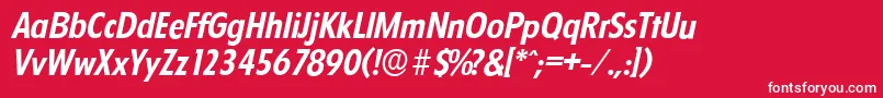 FloridaserialBolditalic Font – White Fonts on Red Background