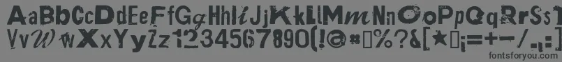 PlakkenRegular Font – Black Fonts on Gray Background
