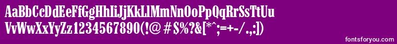 ColonelserialBold Font – White Fonts on Purple Background