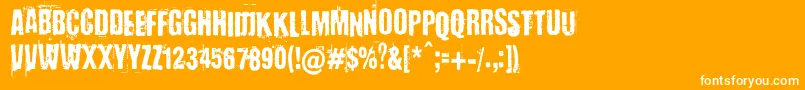 En savoir plus sur la police BaronKuffner Police BaronKuffner – polices blanches sur fond orange
