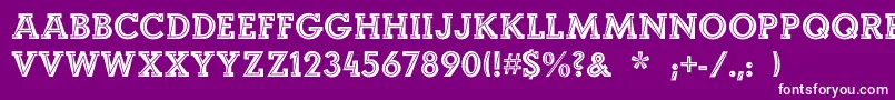 LandiEcho Font – White Fonts on Purple Background